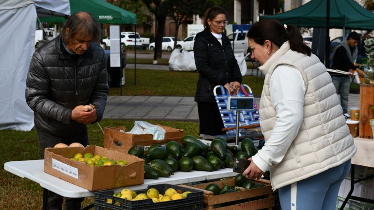 Imagen de la noticia 1